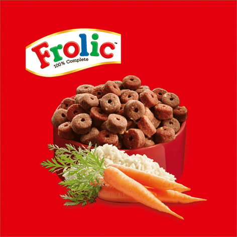 FROLIC™ Adult Trockenfutter Mini mit Rind, Karotten & Reis, 1kg image 1
