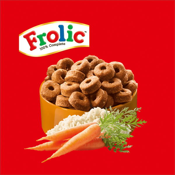 FROLIC™ Adult Complete Trockenfutter Multipack mit Geflügel, Gemüse & Reis, 7,5kg (5x 1,5kg) image 3