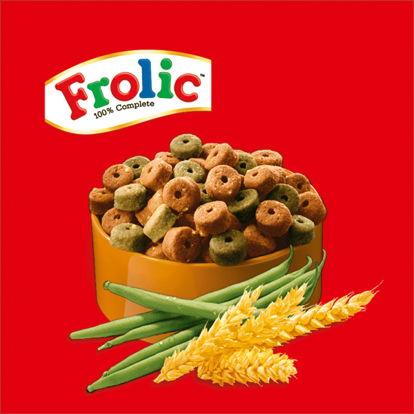 FROLIC™ Adult Trockenfutter Mini mit Geflügel, Gemüse & Getreide, 1kg image 3